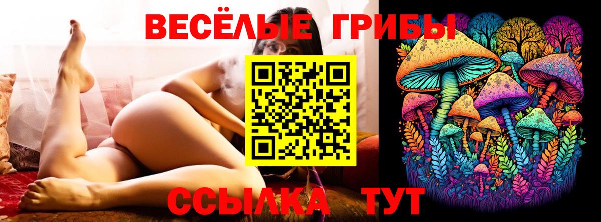 Городец  Галлюциногенные грибы GOLDEN TEACHER  Вход с VPN 